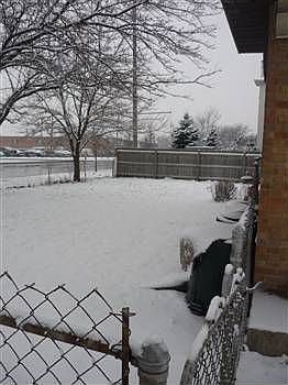 5th image of 259 Dover Dr