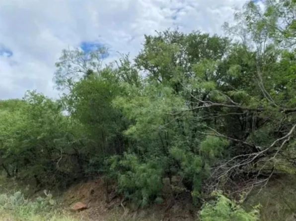 0 NE 8th Ave, Mineral Wells, TX 76067