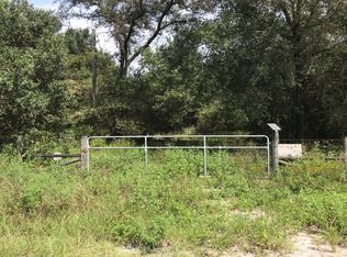 15436 Peter Max Blvd, Hudson, FL 34669
