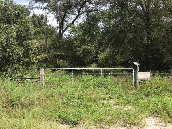 15436 Peter Max Blvd, Hudson, FL 34669