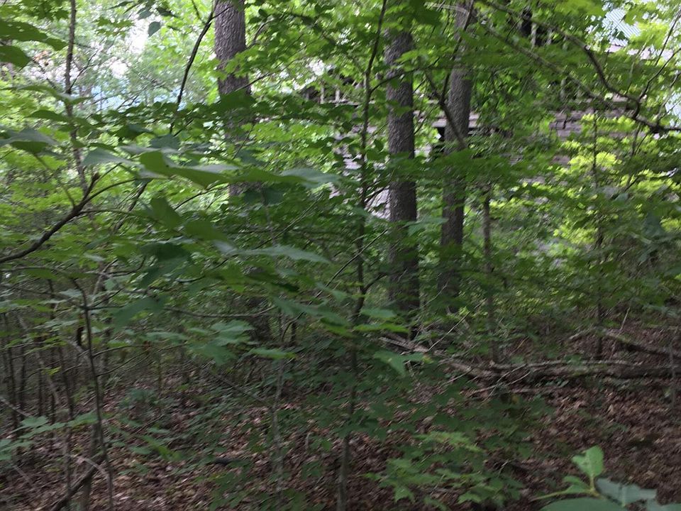 1st image of Shores Dr