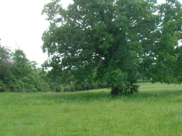 00 Track 1 Sate Route W, Mountain View, MO 65548