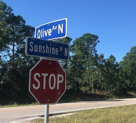4th image of 3113 Sunshine Blvd