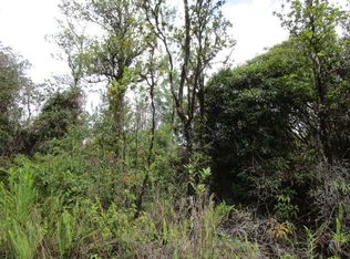 Malia Aina Rd, Volcano, HI 96785