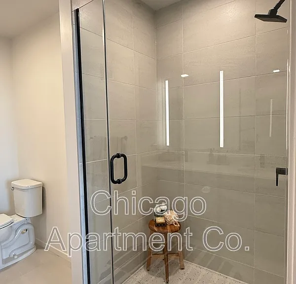 224 N Elizabeth St #411 — Photo 8