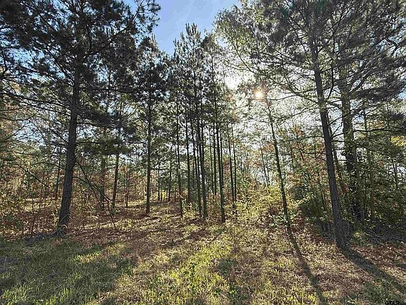 5th image of 15830 Shady Creek Rd