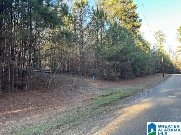 LOT 13 County Road 730 #1, Clanton, AL 35046
