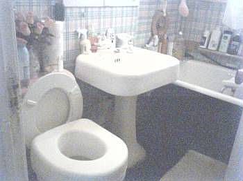 3rd image of 8118 S Burnham Ave