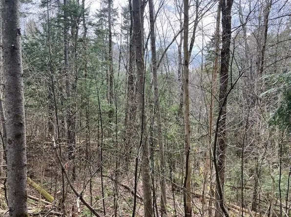 123 High Top Road #B-123, Wilmington, VT 05363