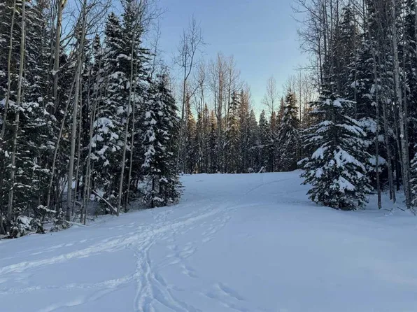 LOT 2 Range Road 180, Yellowhead County, AB T7E 3M1