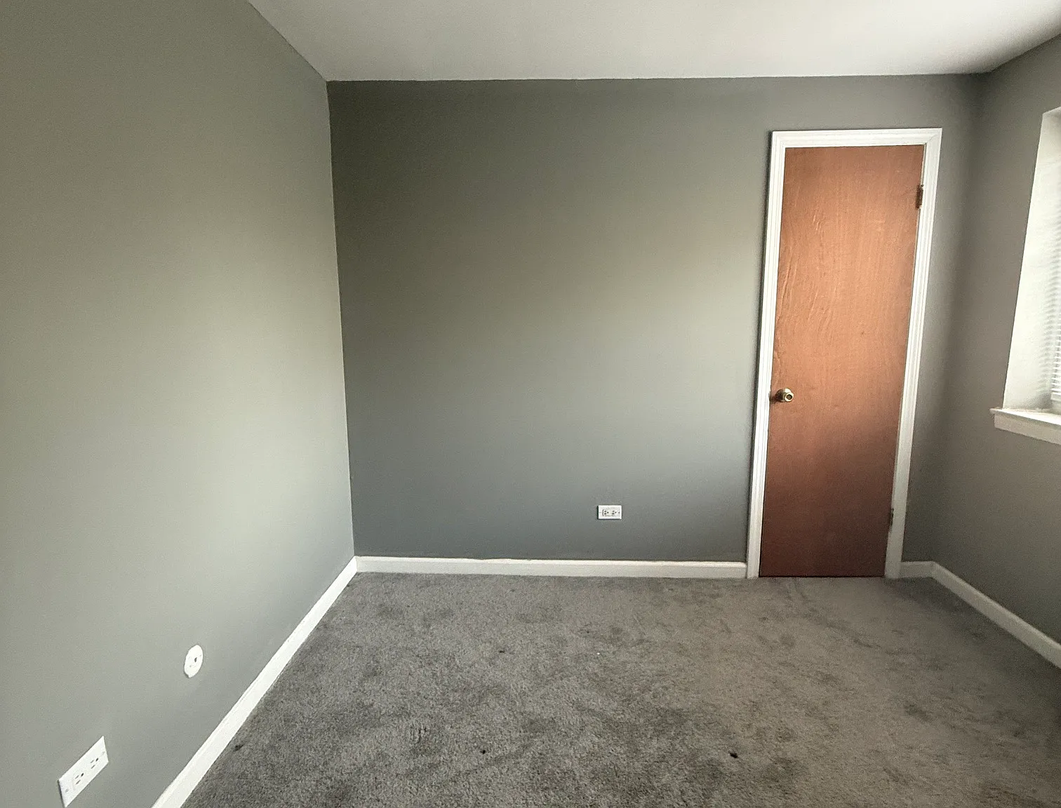 1 bed, $1,350 — Photo 4