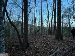 9 Sara Ln, Sautee Nacoochee, GA 30571