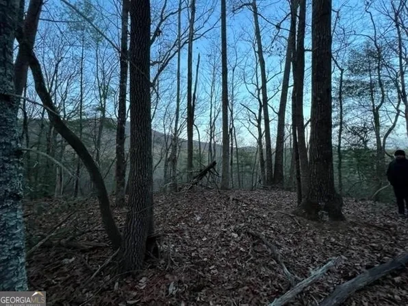 9 Sara Ln, Sautee Nacoochee, GA 30571