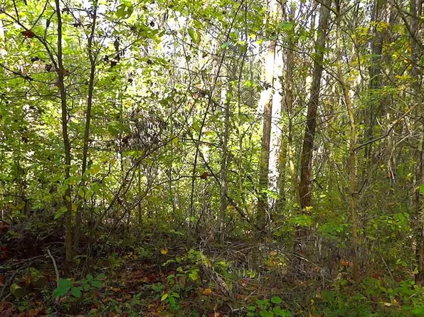 2 Kings Rd, Midway, GA 31320