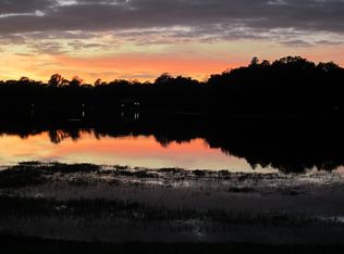 16936 Parsonage Lake Ln, Odessa, FL 33556