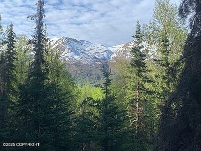 3rd image of L1 Twin Peaks Dr