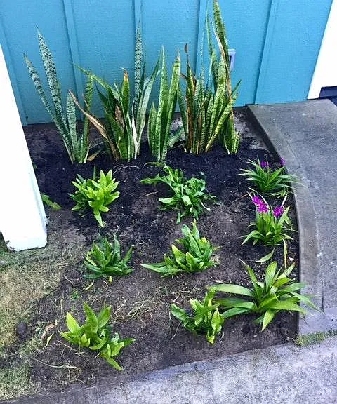 837 N Kalaheo Ave — Photo 13