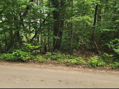 Pine Ridge Road #3, Union, NH, 03887