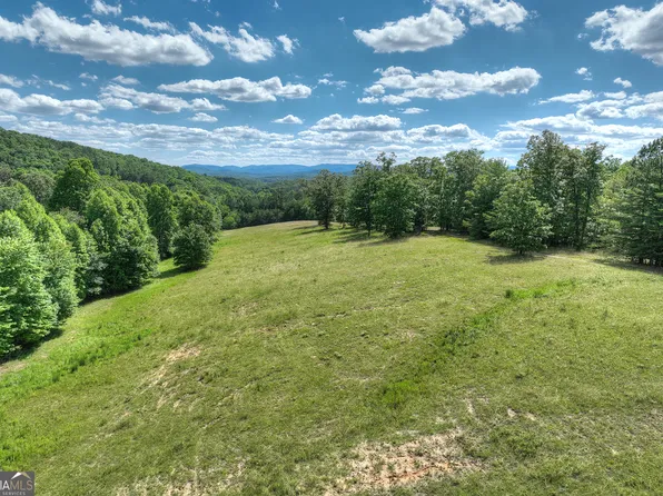 0 Big View Rd, Mineral Bluff, GA 30559