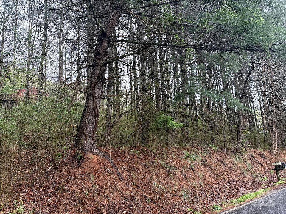 2nd image of 0 Locust Creek Rd