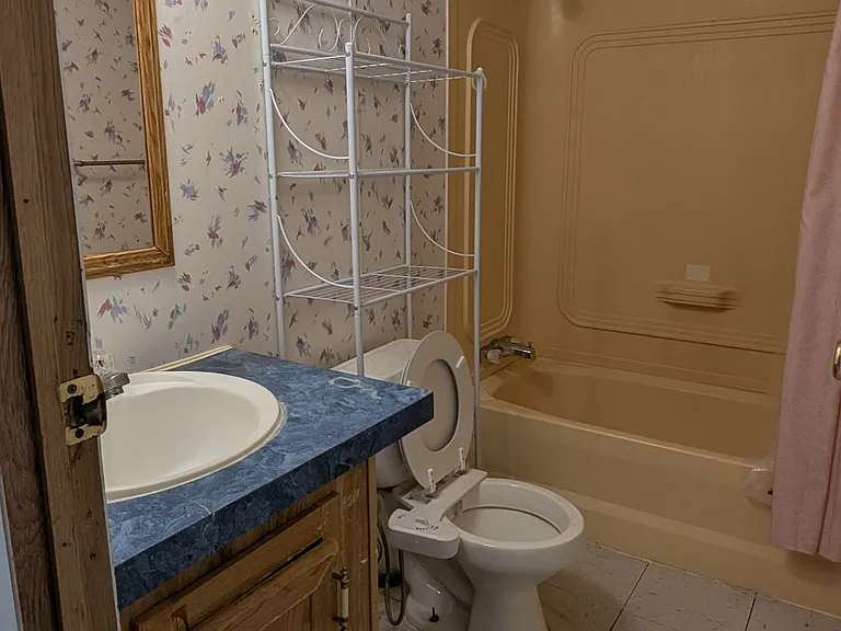 Hall bathroom