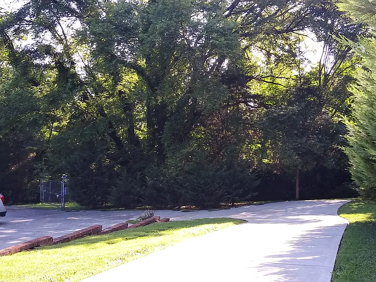 646 Greenwood Dr — Photo 19