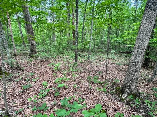 Prettiest Sunset Way Lot 5, Seymour, TN 37865