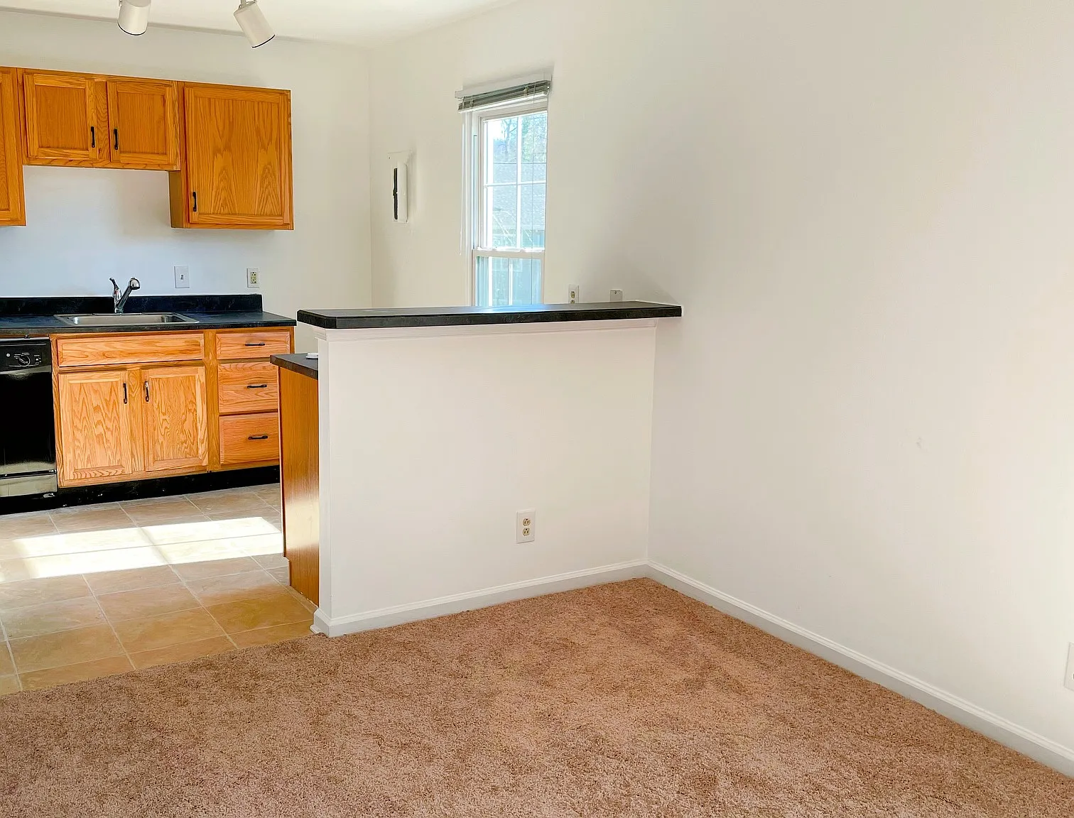 3 bed, 1130 sqft, $1,850 — Photo 3