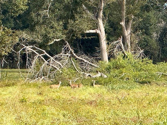 3rd image of 0 County Road 42