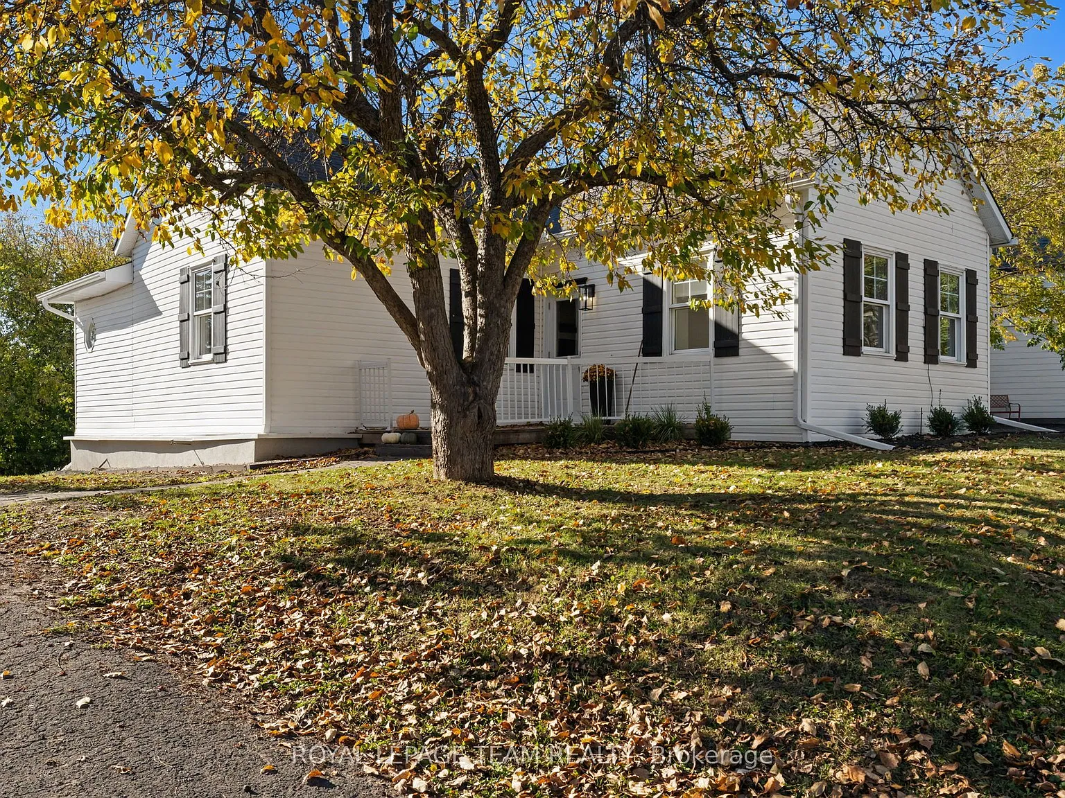 2 bed, $3,050 — Photo 3