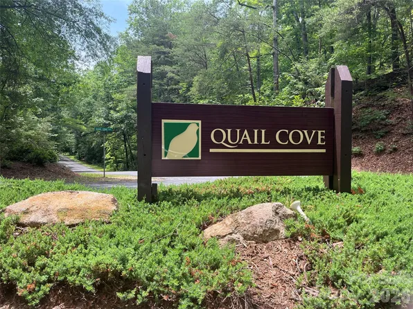 155 Quail Cove Blvd Unit 1608, Lake Lure, NC 28746
