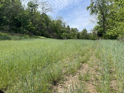 34179 New Lima Rd, Rutland, OH, 45775