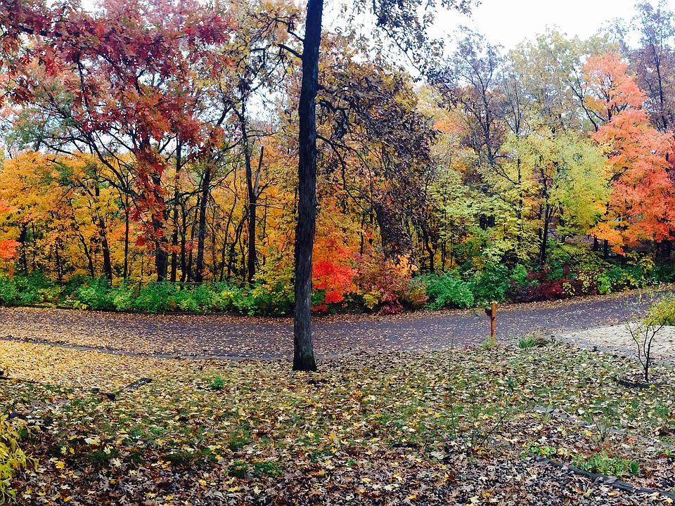 Fall view