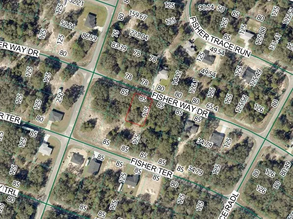 Fisher Way Dr Lot 11, Ocklawaha, FL 32179