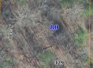 329 Greenbriar St, Starkville, MS 39759