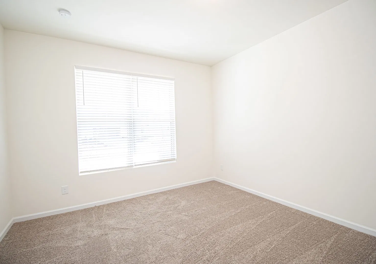(Coming Soon) 5 Bedrooms home in Indian Trail! — Photo 3