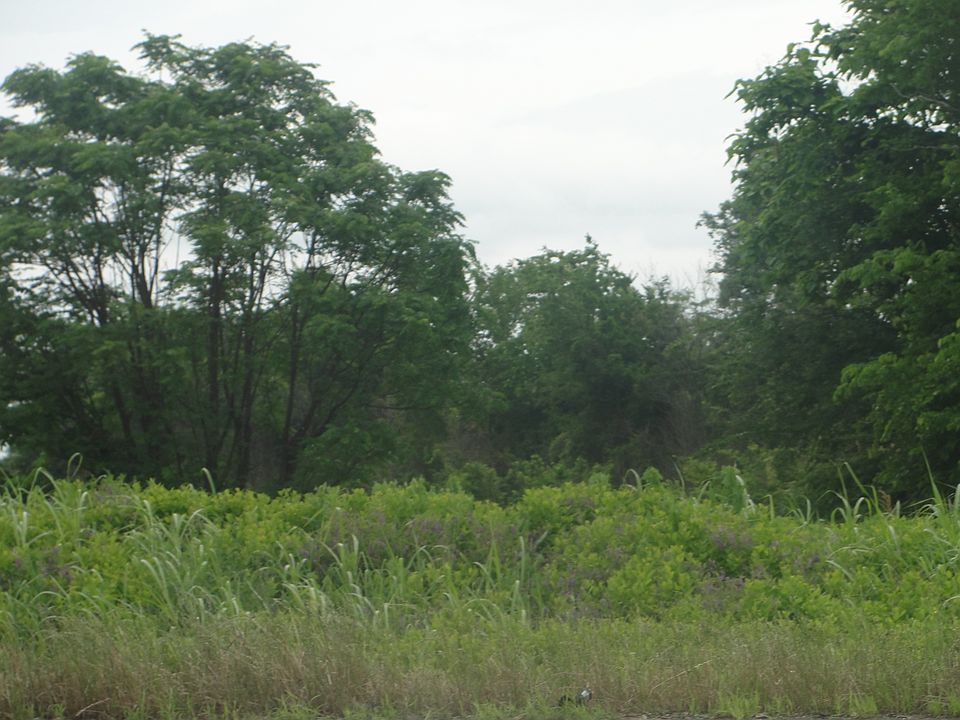 2nd image of Lot 1 Block 60