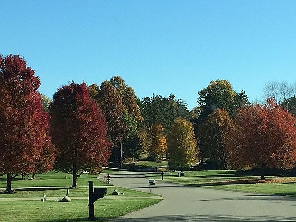 Fall colors on Rolling Pines
