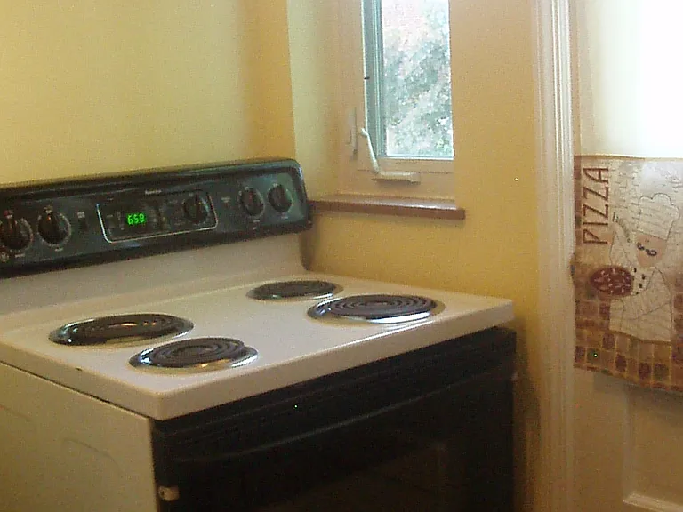electric stove with self cleaning for stove