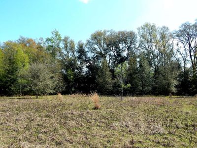 14406 NW 214th Ter, High Springs, FL, 32643