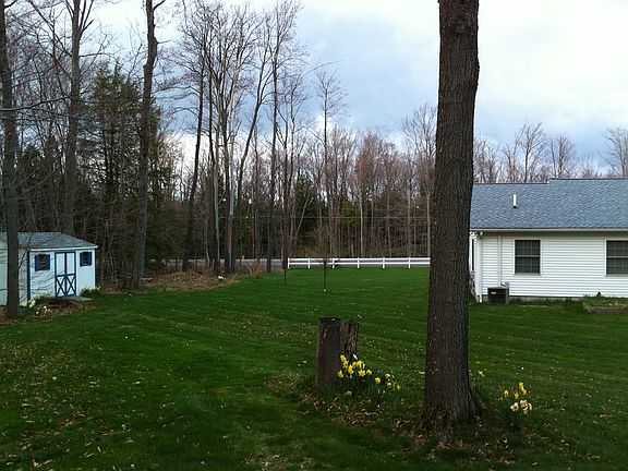 Backyard Side