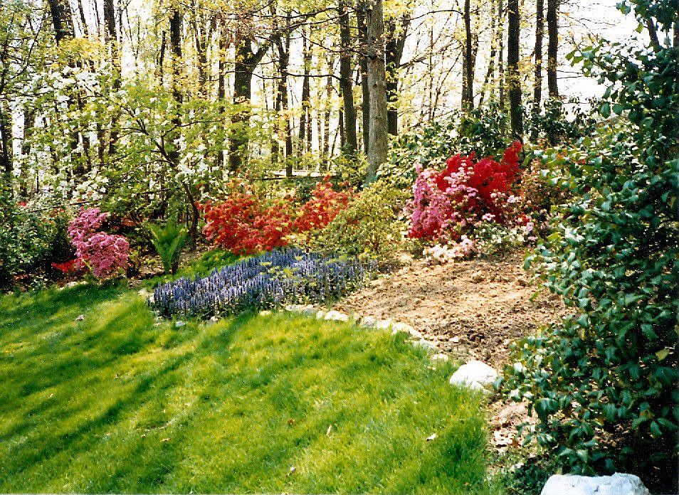 Springtime Rear Yard