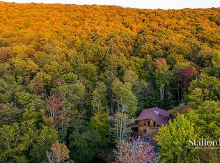 2222 Cabin Mountain, Davis, WV 26260
