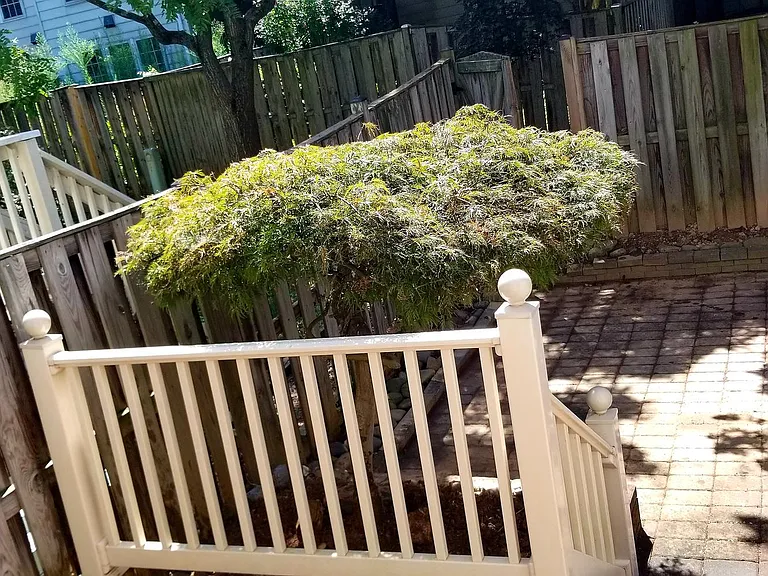 464 Winding Rose Dr — Photo 33