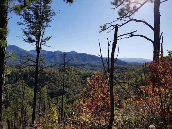 4478 E Highway 25 #70, Del Rio, TN 37727