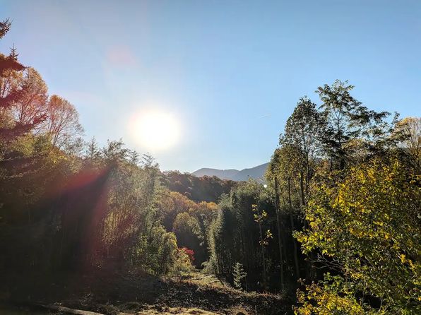 (undisclosed Address)