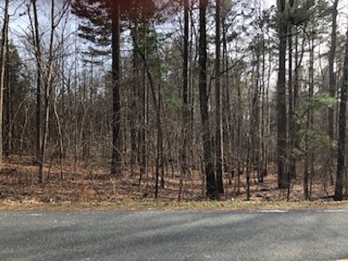 2nd image of Lots 25 & Pine Tree Hollow Road Lot 25 #&-26