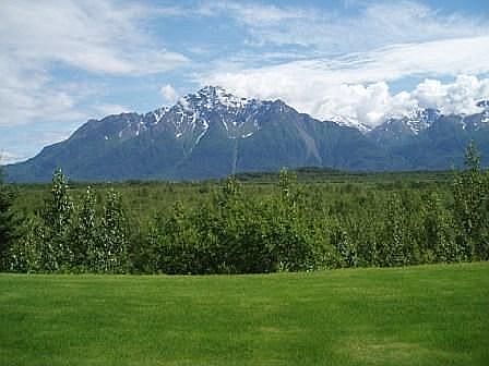 Back Yard View