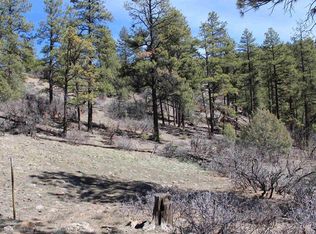 881 Ironwood Drive, Pagosa Springs, CO 81147