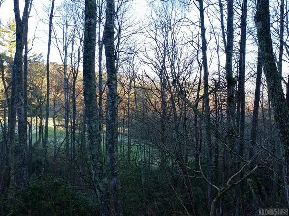 1725 Highlands Cove Dr, Cashiers, NC 28717